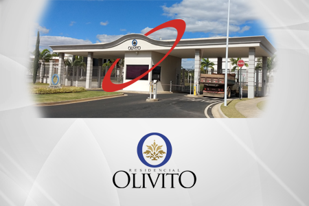 Olivito - Mobile